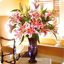 Oriental Lilies