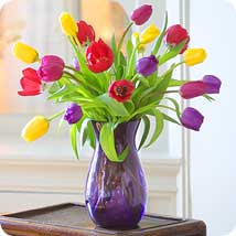 Dutch Tulip Vase