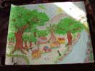 drawings
