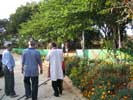 walking around the park