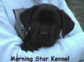 Neena