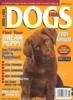 DOGS USA Magazine - Annual