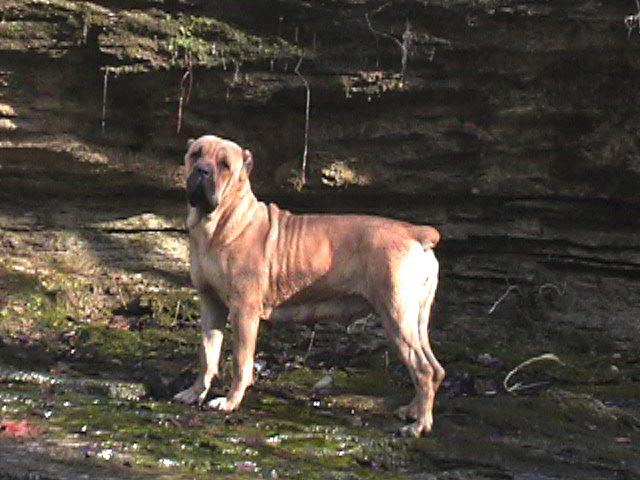 Maggie