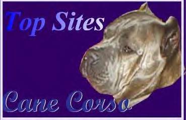 Cane Corso Italiano Topsites