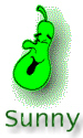 00sunzuccava.jpg (11853 bytes)