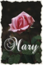 02maryrose.jpg (10052 bytes)