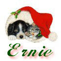 1225ernie.jpg (6809 bytes)