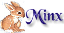 minxbunny3.jpg (8926 bytes)