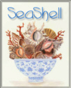 seashellava2.jpg (12807 bytes)
