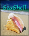 seashellava6.jpg (11226 bytes)
