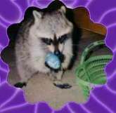 Being the eastercoon can be EggHausting