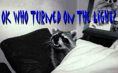 Oh, its you - those lucky cats ..... Enjoy!