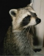 WELCOME - SO GLAD&nbsp; YOU CAME BY - PLEASE SIGN MY GUESTBOOK ~~ HOPE YOU ENJOY YOUR VISIT ! 