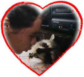 Kiss Me&nbsp; Im A Coon