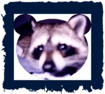 Click here to go to my favorite links&nbsp; 