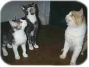 HELP! Cajun has water.... MOM!!!