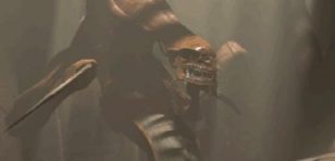/user/Zerg_pic.jpg