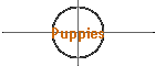 Puppies