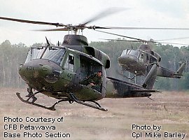 Griffon