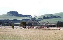 Photo courtesy of the Warrnambool Standard