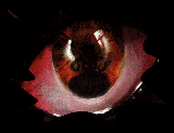 If you see this...get lost, imageless freak!