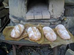 crusty loafs