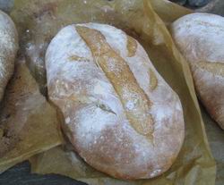 crusty loafs