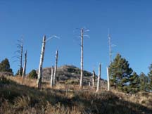 View of Carr Peak
