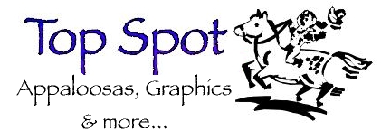 Click to go to the Top Spot Appaloosa Farm, Graphic Design & more!
