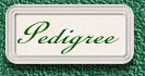 Click Here to see Mosey's Pedigree