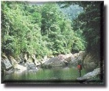 Pico Bonito National Park