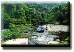 Rafting in the Pico Bonito National Park
