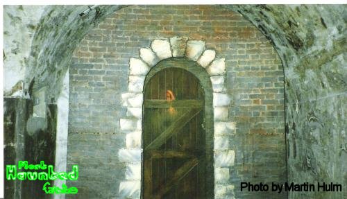 Ghostly Image In Doorway