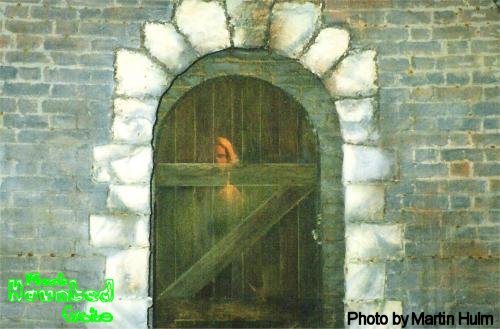 Ghostly Image In Doorway