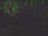 Grave Yard