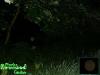 Gypsy Wood Orbs