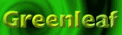 Visit the Guild!