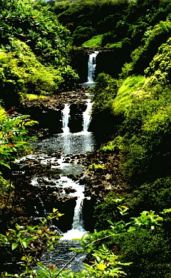 3fall 