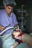 http://www.geocities.com/motazshazly2002/Palestine/pic18.jpg