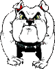 Bulldog