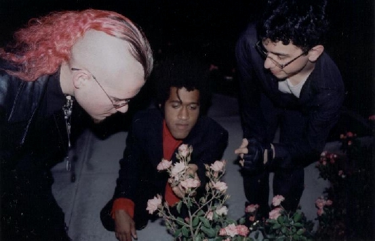 After breaking into the nearby courthouse, merciless beating the security guard, interrogating as to the location of his family members, mercilessly beating them, and then enjoying the last of the salsa in their refridgerators, the boys quickly tipped an old lady out of the way so they could admire these flowers.