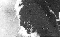 Thijs van Leer