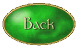 Back to Homepage