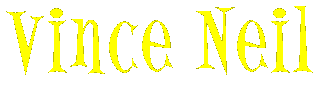 VINCE'S BANNER