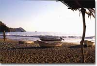 Typical Mexican Beach