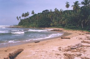 Cahuita National Park