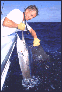 Guy with Smallish Sailfish