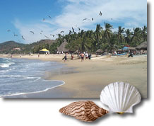 Another View of Sayulita