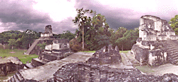 The Ruins at Tikal