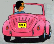 [pinkbug]